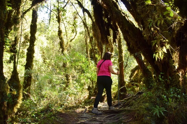 Cascadas Escondidas, קרטרה אוסטרל, צ'ילה